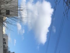 -韩国商品交易中心