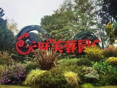 -天府芙蓉园