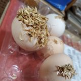 ️绝对是减脂解馋最佳首选