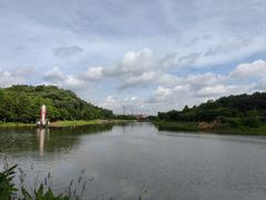 -滴水岩森林公园