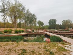 -东郊湿地公园