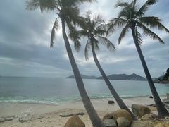 -日落吧·海景咖啡厅·餐酒吧·鸡尾酒·下午茶·乐队表演·浪漫夕阳·三亚文华东方酒店