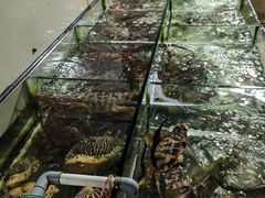 -海门岛七号餐厅