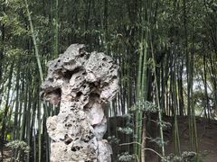-水绘园