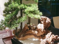 -顺峰(农展馆店)
