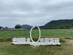 -艾米稻香小镇