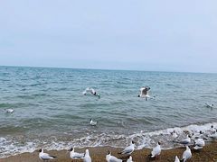 -青海湖国家重点风景名胜区