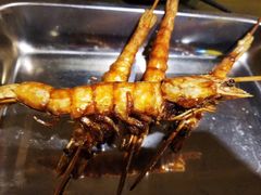 -西单翅酷(西单店)