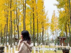 -艾溪湖湿地公园