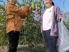 -庞各庄翠芳园西瓜蔬菜基地采摘园