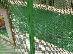 -优享健身(三元桥店)