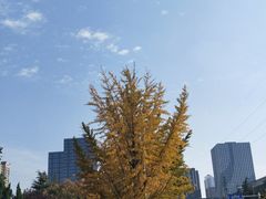 -徐州老菜馆(中枢街店)