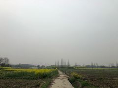 -小鱼草莓采摘园农家乐·小鱼餐厅