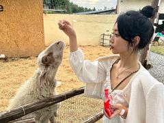 -HERRE·FARM 赫尔露营农场·团建聚会包场