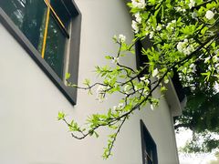-泰州站