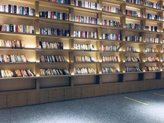 -深影国际影城(学院南路店CGS中国巨幕店)