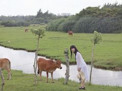 -月亮湾