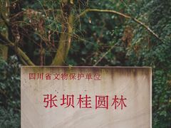 -张坝桂圆林公园