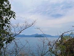 -千岛湖东南湖区