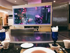 -丹鼎铁板料理