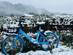 -中国茶叶博物馆(双峰馆区)