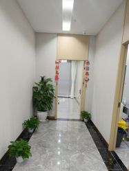 -碧莲盛·不剃发植发
