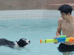 -帕帕拉兹宠物(亚洲旗舰店)