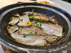 香煎炸鱼-五稻厨房粤西菜(新闻店)