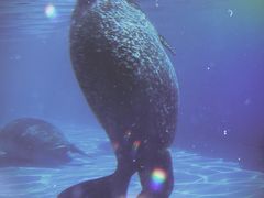 -泉城欧乐堡海洋极地世界