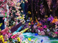 -正佳雨林生态植物园