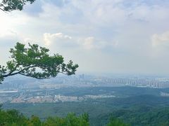 -紫金山山顶公园