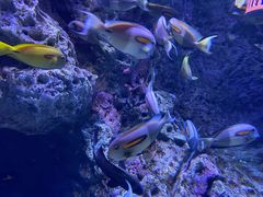 -成都浩海立方海洋公园