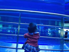 -上海海昌海洋公园