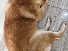 -万达广场(南昌红谷滩店)