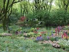 -上海共青森林公园