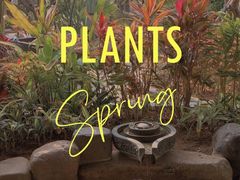 -厦门日月谷温泉渡假村