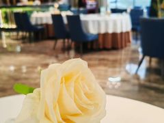 -怀德酒楼·粤菜·海鲜·茶点(宝安国际机场店)