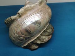 -青岛贝壳博物馆