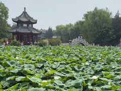 -莲池书院博物馆