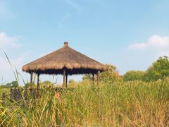 -梁鸿国家湿地公园