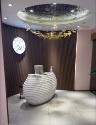 -MUSES专业脱毛比基尼サロン日式连锁