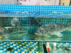 水产区-87号烧烤海鲜·大排档(金沙滩店)