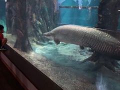 -鹿儿岛水族馆