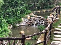 -看见远方·莫干遥远的山民宿