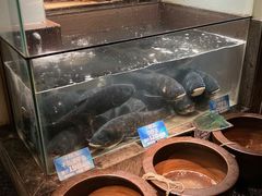 -上名堂·鱼头好吃(体育场路店)