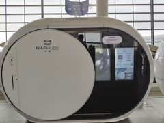 -郑州新郑国际机场-T2航站楼