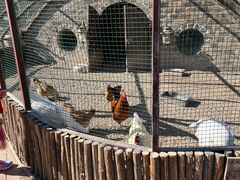 -南宫五洲植物乐园