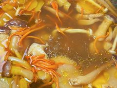 -菌极鲜野生菌火锅店(阳明祠店)