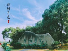 -荷塘月色湿地公园·向阳花洲