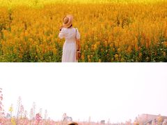 -中国天府农业博览园